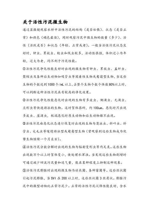 关于活性污泥微生物