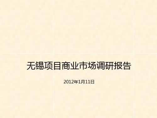 无锡商业项目市场调研报告