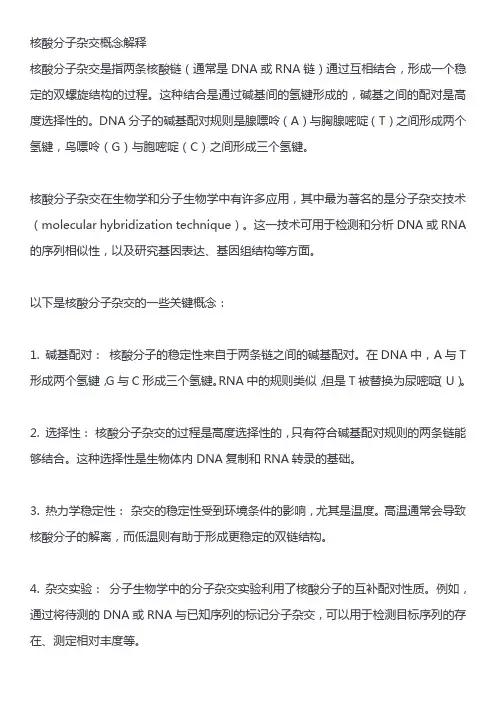 核酸分子杂交概念解释