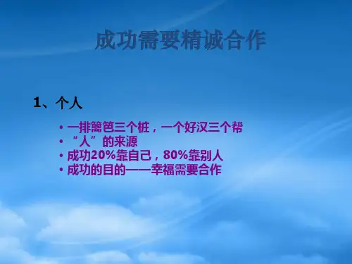 团队管理7要素PPT40页42393