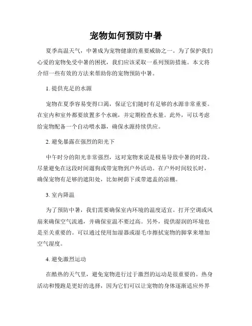 宠物如何预防中暑