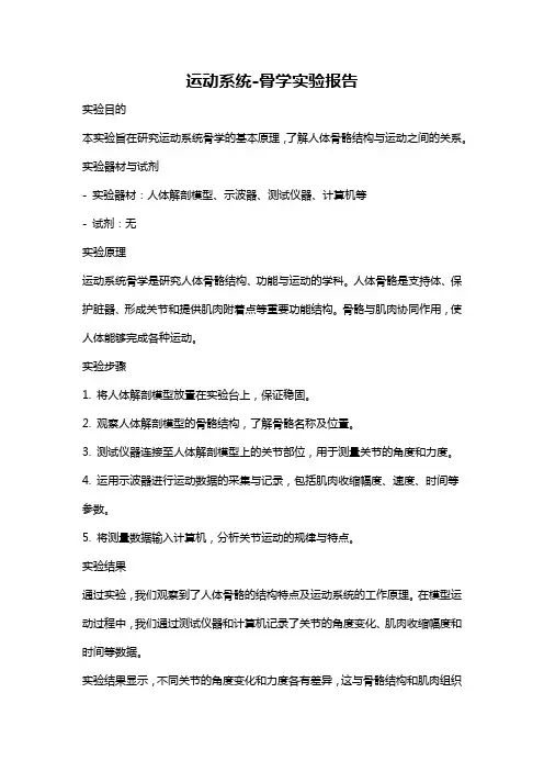 运动系统-骨学实验报告