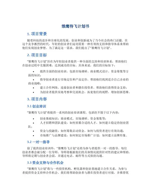 雏鹰待飞计划书