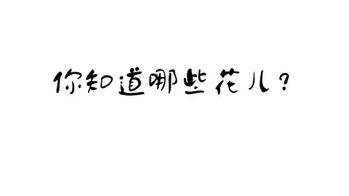 2.《花的学校》课件(共24张PPT)