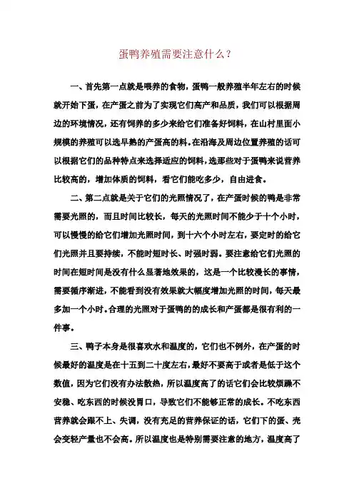 蛋鸭养殖需要注意什么？