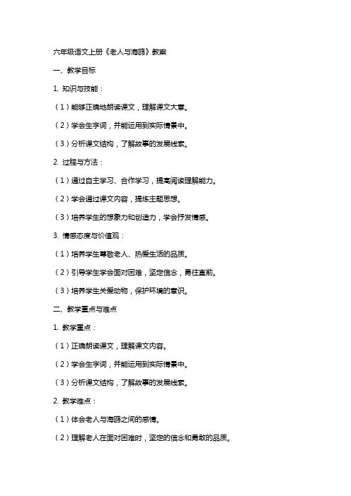 六年级语文上册老人与海鸥教案