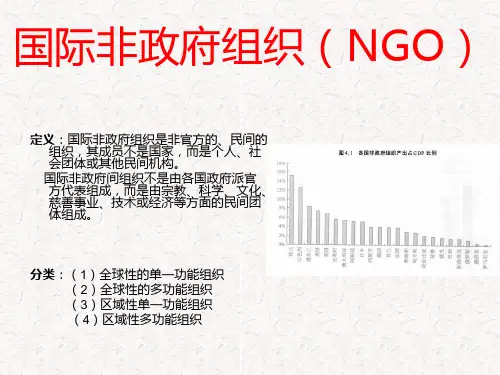 国际非政府组织