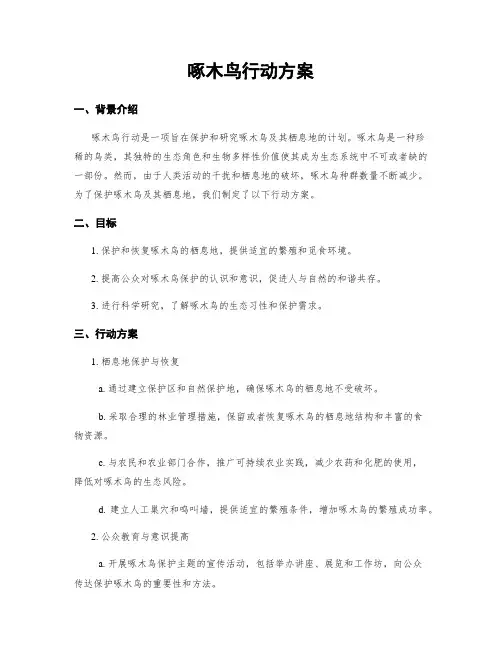啄木鸟行动方案