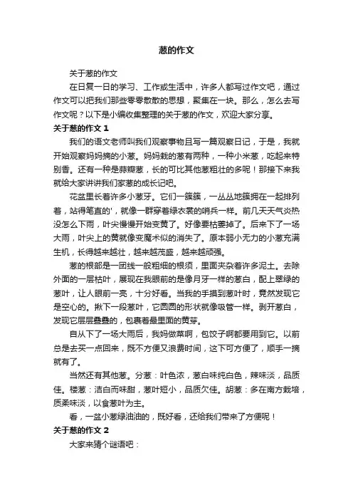 关于葱的作文