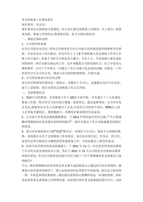 党支部筹备工作情况报告