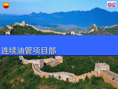 连续油管工艺技术