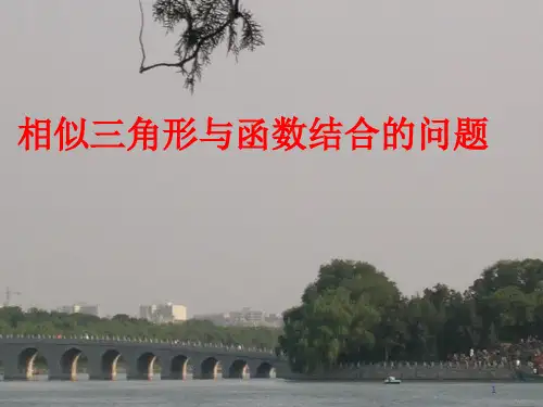 相似三角形与函数结合的问题 初中数学 总结汇总 ppt.pptx