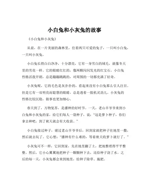 小白兔和小灰兔的故事