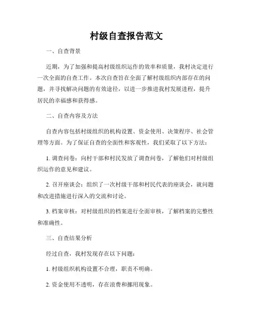 村级自查报告范文