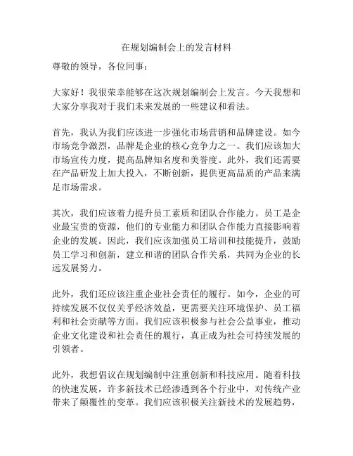 在规划编制会上的发言材料