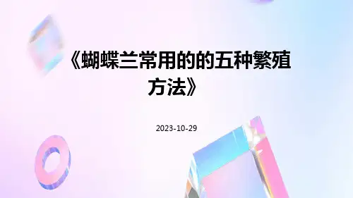 蝴蝶兰常用的的五种繁殖方法