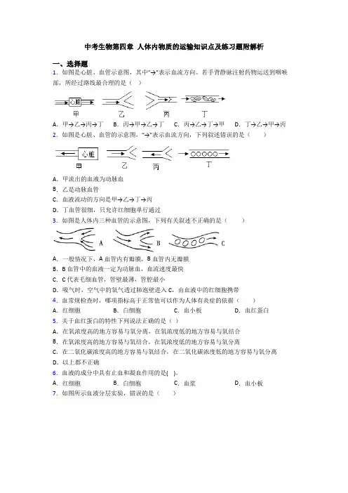 中考生物第四章 人体内物质的运输知识点及练习题附解析