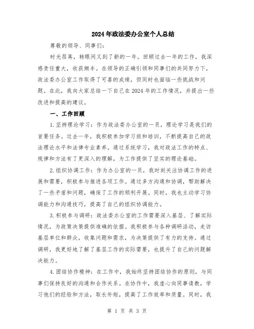 2024年政法委办公室个人总结