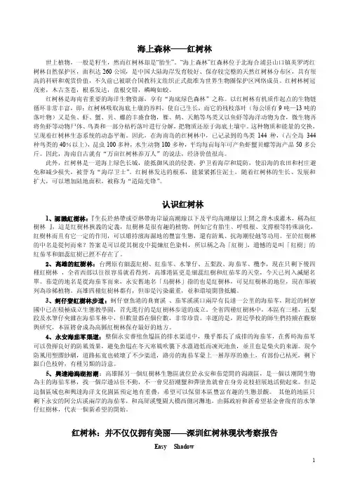 海上森林——红树林