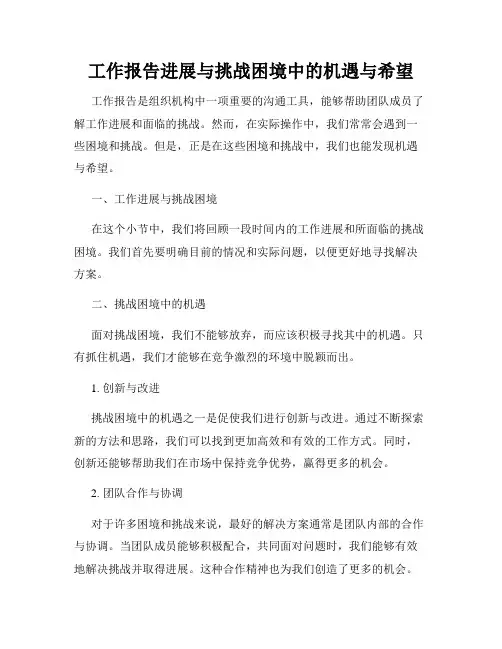 工作报告进展与挑战困境中的机遇与希望