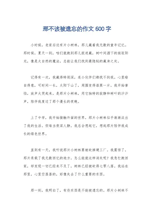 那不该被遗忘的作文600字