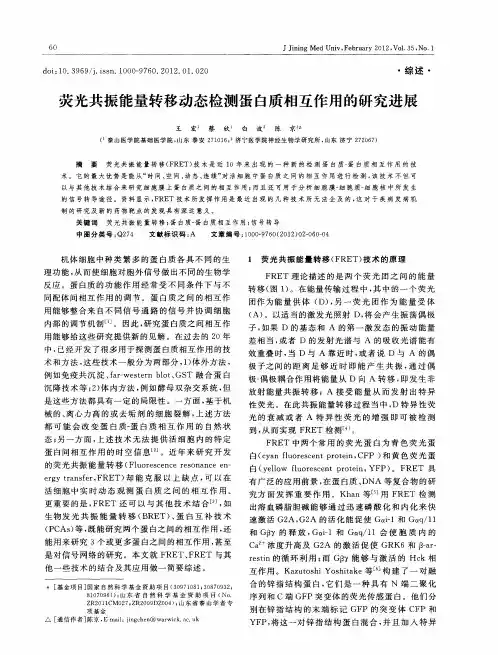 荧光共振能量转移动态检测蛋白质相互作用的研究进展