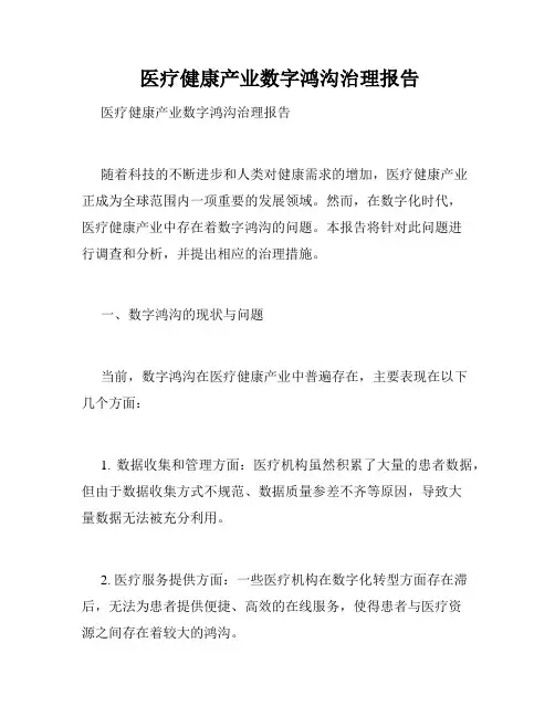  医疗健康产业数字鸿沟治理报告
