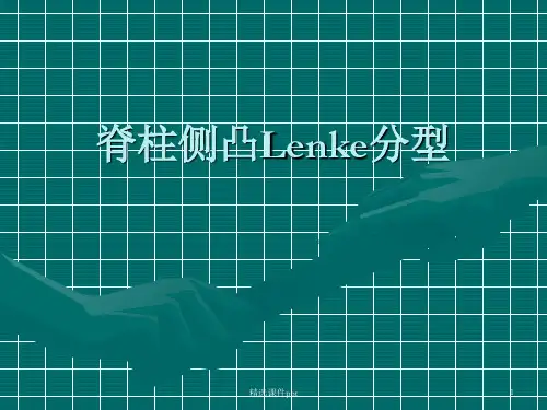 Lenke分型