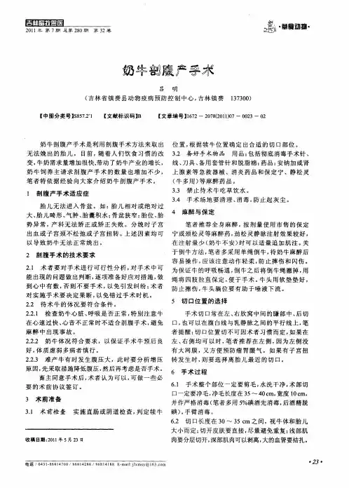 奶牛剖腹产手术