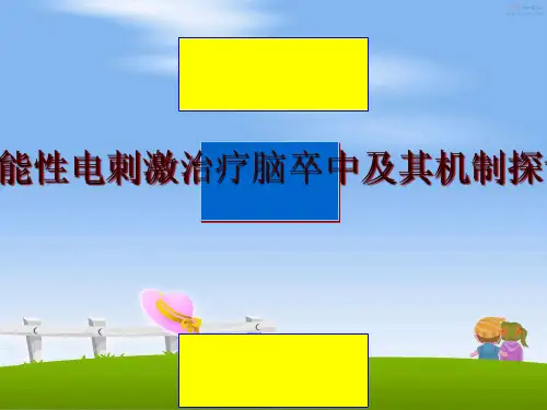 最新功能性电刺激治疗脑卒中及其机制探讨讲学课件