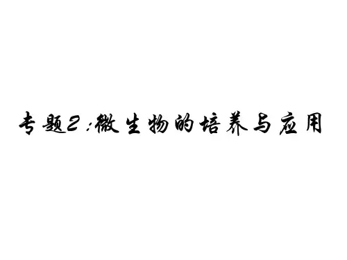 微生物的实验室培养