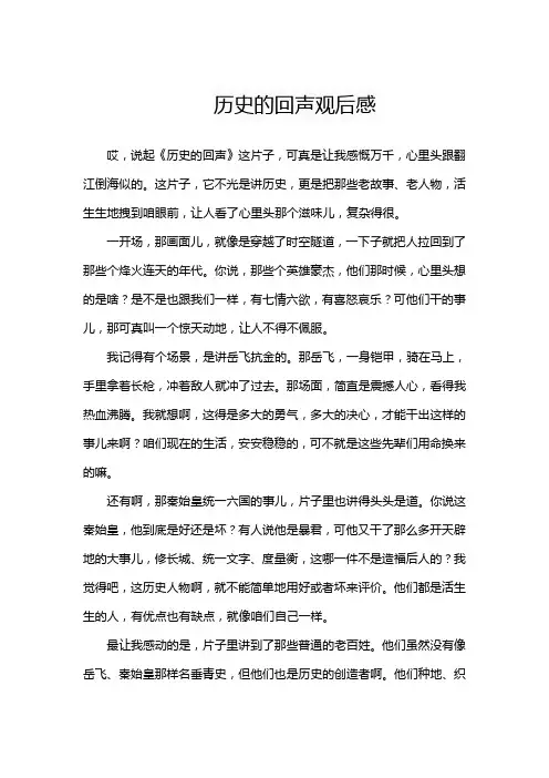 历史的回声观后感