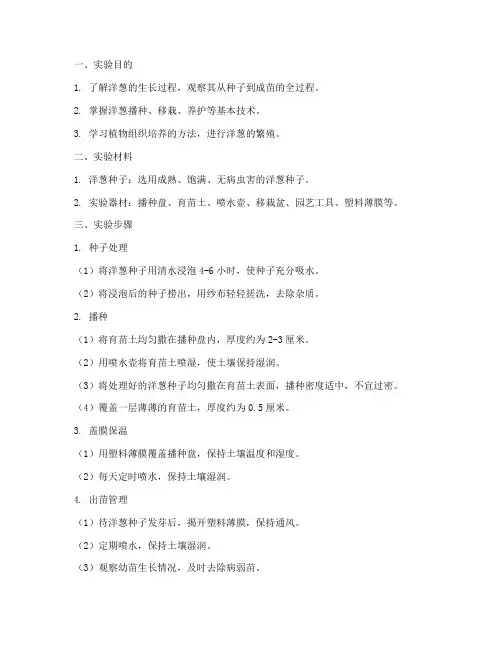 洋葱培育生物实验报告