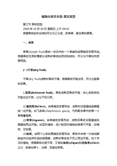 植物分类学术语-果实类型