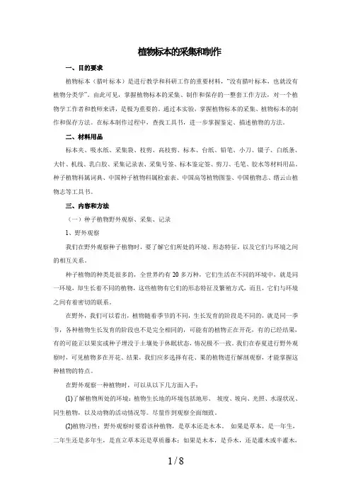 植物标本的采集和制作