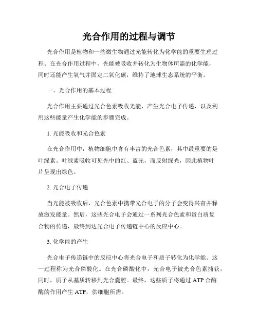 光合作用的过程与调节