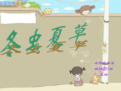 道地药材