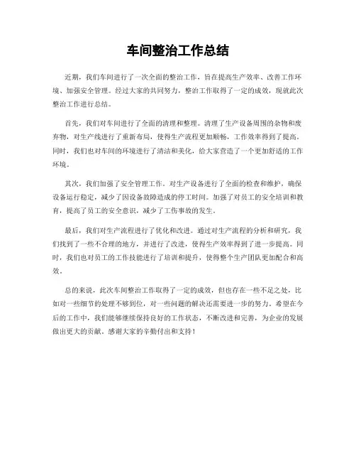 车间整治工作总结