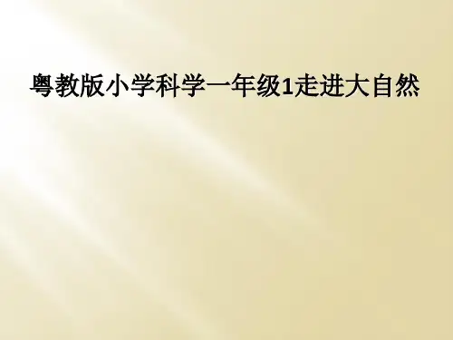粤教版小学科学一年级1走进大自然