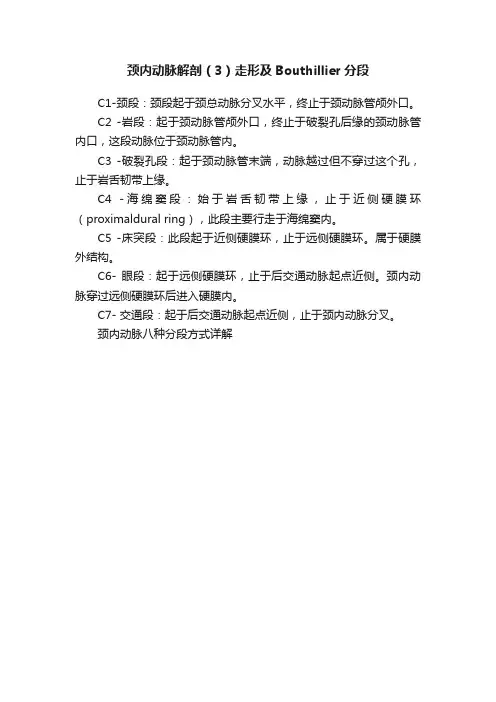 颈内动脉解剖（3）走形及Bouthillier分段