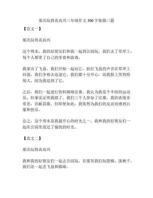 那次玩得真高兴三年级作文300字集锦三篇