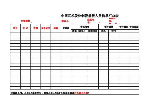 武术段位汇总表