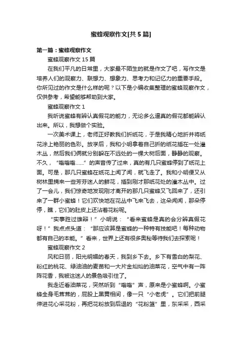 蜜蜂观察作文[共5篇]