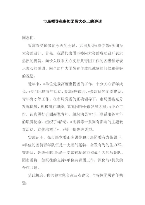 市局领导在参加团员大会上的讲话材料