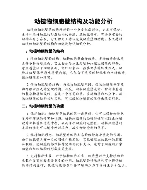 动植物细胞壁结构及功能分析