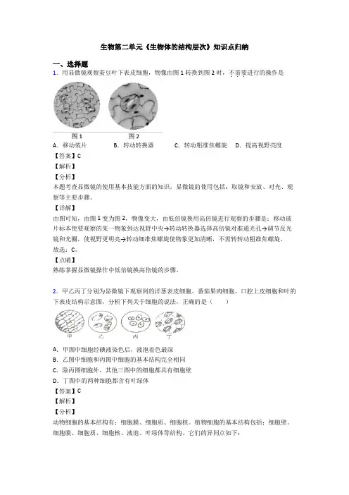 生物第二单元《生物体的结构层次》知识点归纳