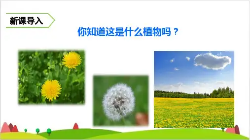 《金色的草地》ppt优秀课件