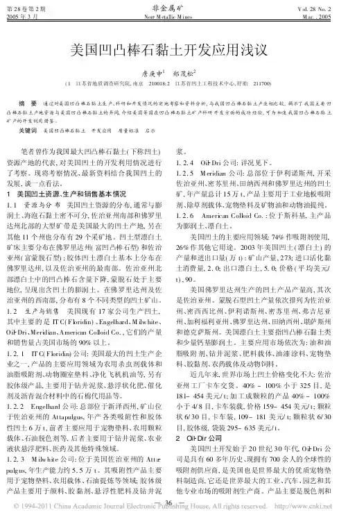 美国凹凸棒石黏土开发应用浅议_詹庚申
