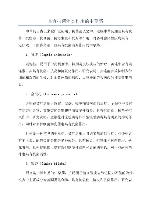 具有抗菌消炎作用的中草药