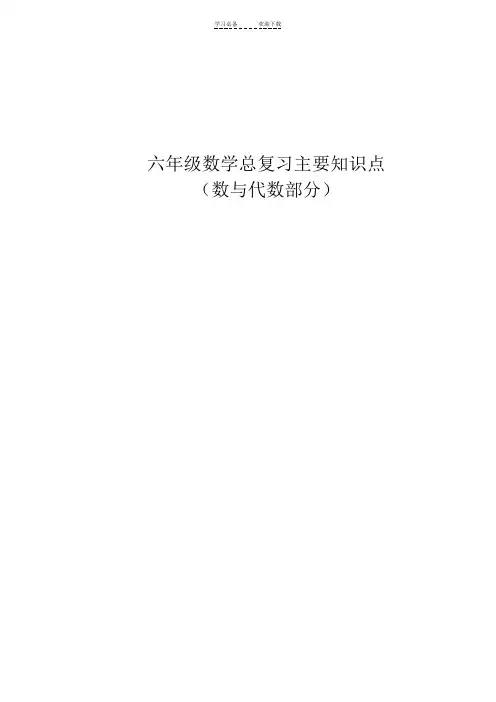 六年级数学总复习主要知识点梳理(数与代数)